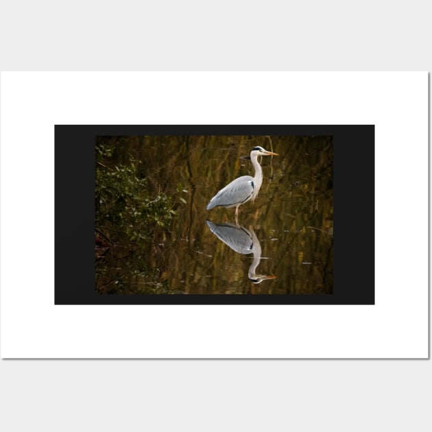 Great Blue Heron Wall Art by Z Snapper